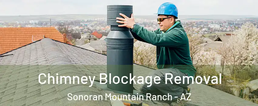 Chimney Blockage Removal Sonoran Mountain Ranch - AZ