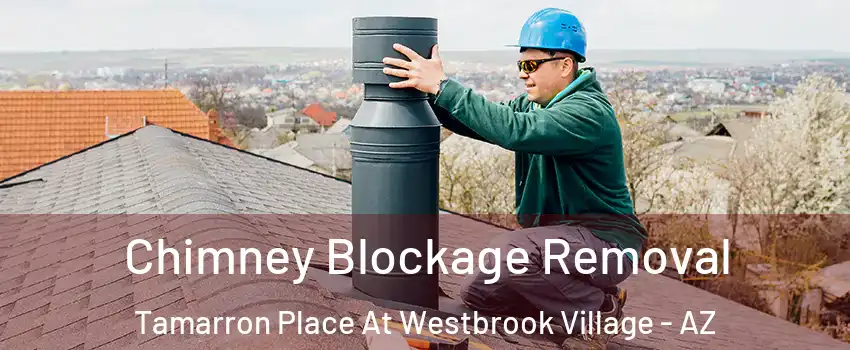 Chimney Blockage Removal Tamarron Place At Westbrook Village - AZ