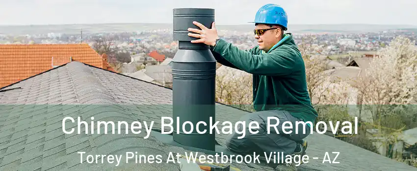 Chimney Blockage Removal Torrey Pines At Westbrook Village - AZ