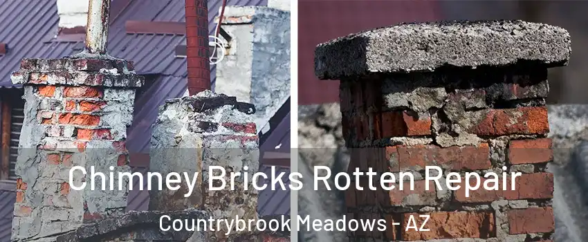 Chimney Bricks Rotten Repair Countrybrook Meadows - AZ