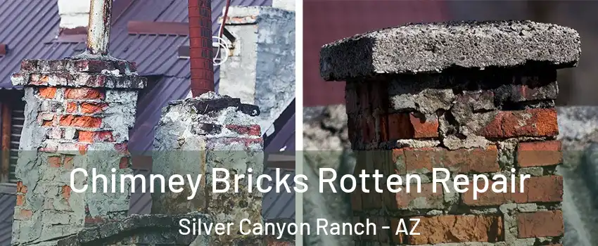 Chimney Bricks Rotten Repair Silver Canyon Ranch - AZ