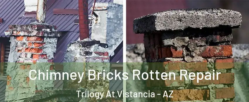 Chimney Bricks Rotten Repair Trilogy At Vistancia - AZ