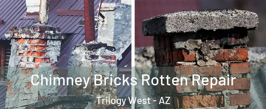 Chimney Bricks Rotten Repair Trilogy West - AZ