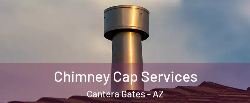 Chimney Cap Services Cantera Gates - AZ