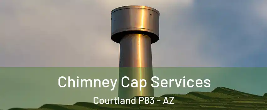 Chimney Cap Services Courtland P83 - AZ