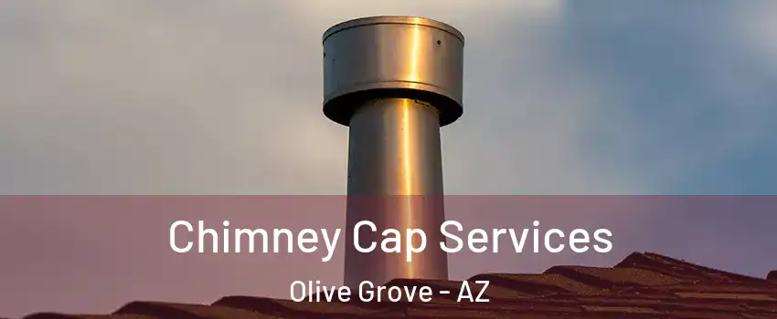 Chimney Cap Services Olive Grove - AZ