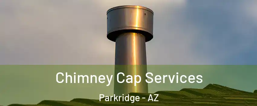 Chimney Cap Services Parkridge - AZ