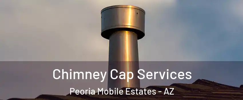 Chimney Cap Services Peoria Mobile Estates - AZ