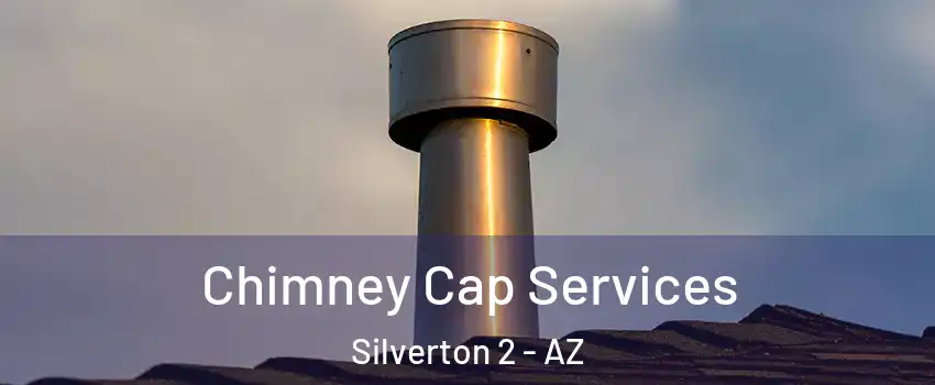 Chimney Cap Services Silverton 2 - AZ