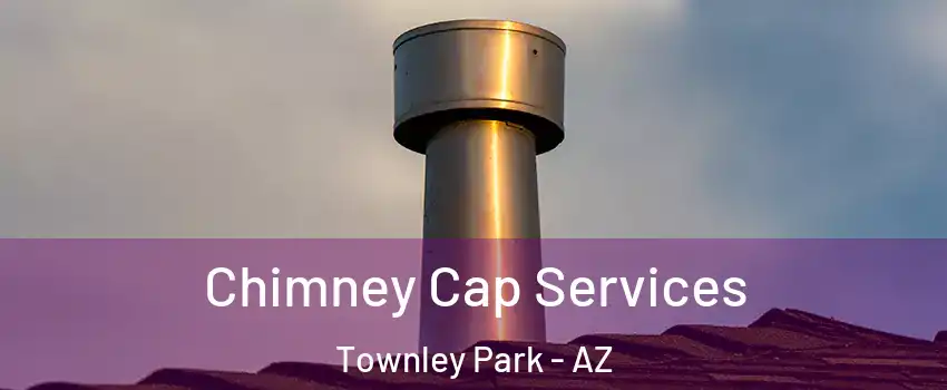 Chimney Cap Services Townley Park - AZ