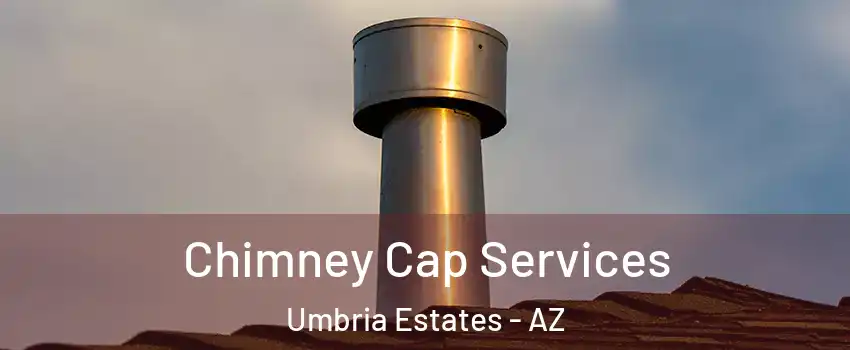 Chimney Cap Services Umbria Estates - AZ