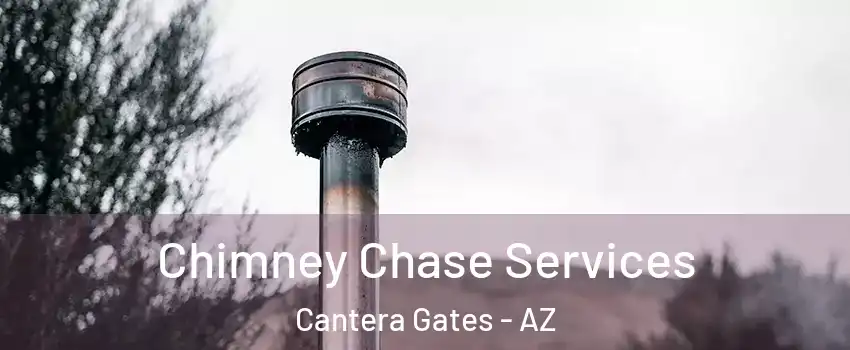 Chimney Chase Services Cantera Gates - AZ