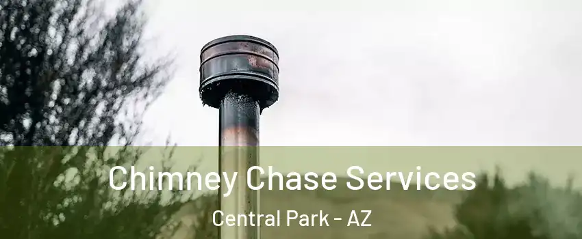 Chimney Chase Services Central Park - AZ