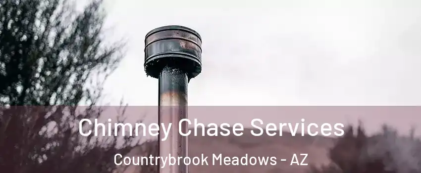Chimney Chase Services Countrybrook Meadows - AZ