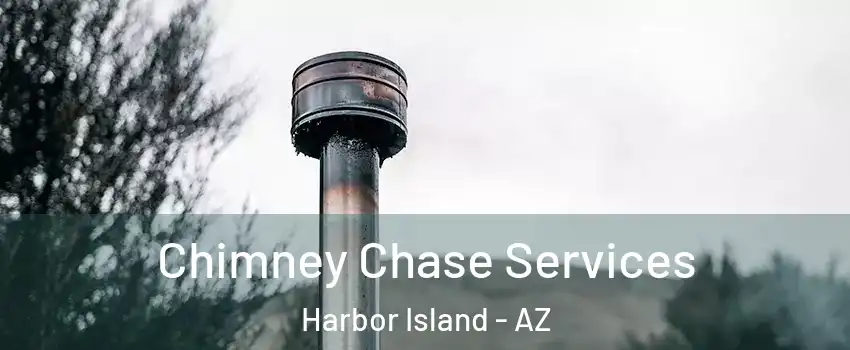 Chimney Chase Services Harbor Island - AZ