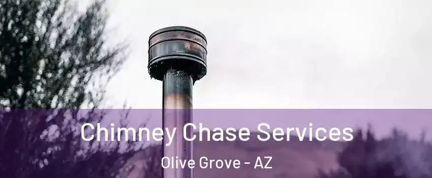 Chimney Chase Services Olive Grove - AZ