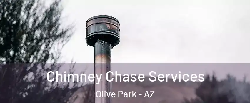 Chimney Chase Services Olive Park - AZ