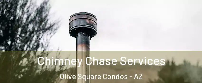 Chimney Chase Services Olive Square Condos - AZ