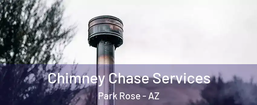 Chimney Chase Services Park Rose - AZ