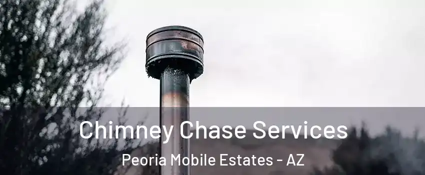 Chimney Chase Services Peoria Mobile Estates - AZ