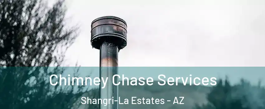Chimney Chase Services Shangri-La Estates - AZ
