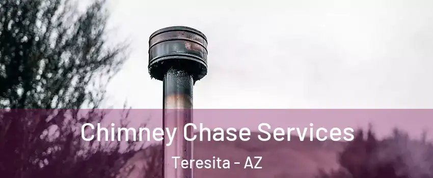 Chimney Chase Services Teresita - AZ