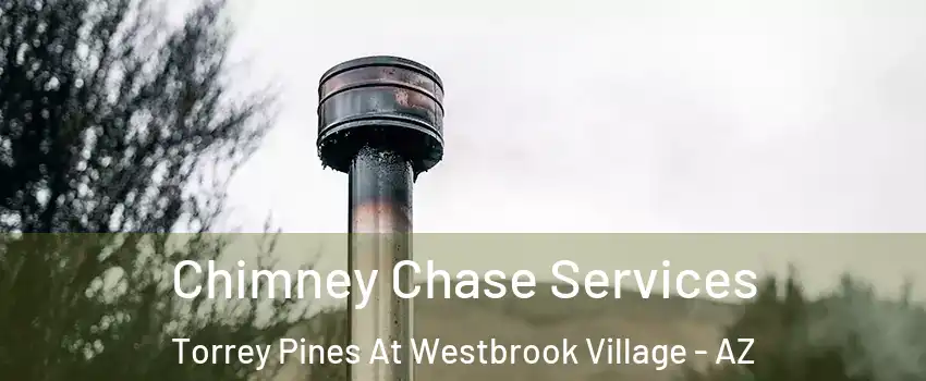 Chimney Chase Services Torrey Pines At Westbrook Village - AZ