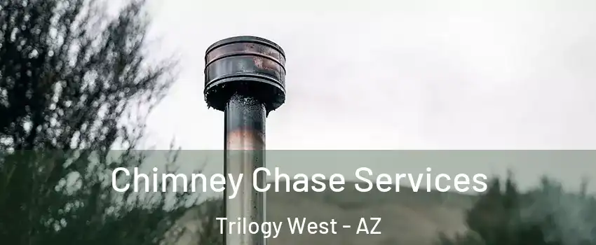 Chimney Chase Services Trilogy West - AZ
