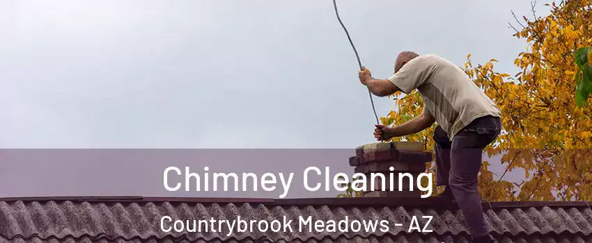 Chimney Cleaning Countrybrook Meadows - AZ