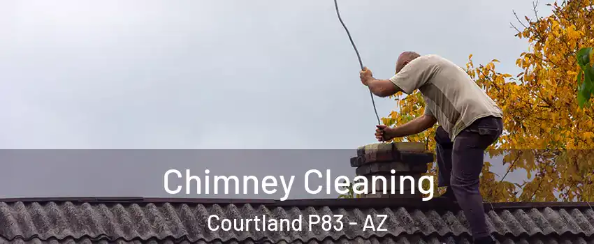 Chimney Cleaning Courtland P83 - AZ