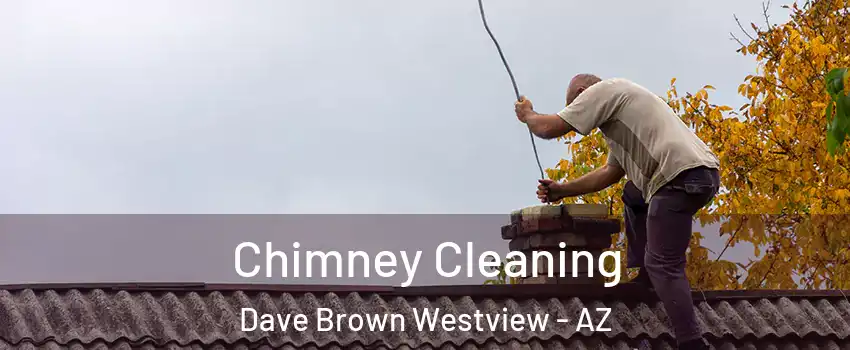 Chimney Cleaning Dave Brown Westview - AZ