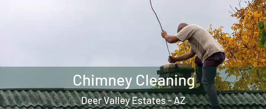 Chimney Cleaning Deer Valley Estates - AZ