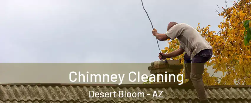 Chimney Cleaning Desert Bloom - AZ
