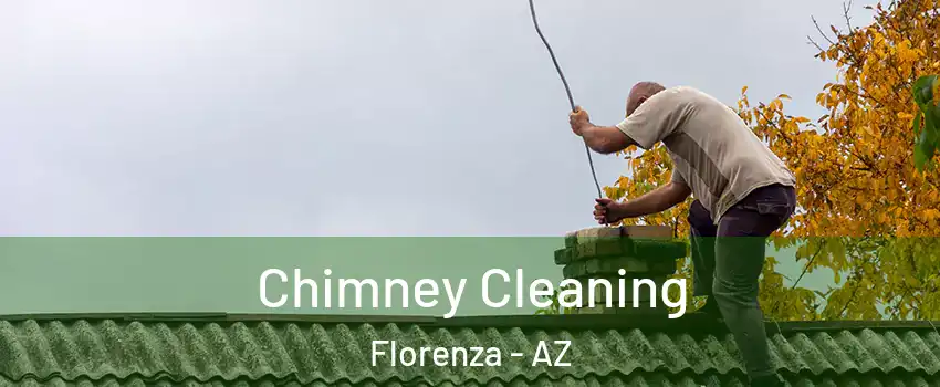 Chimney Cleaning Florenza - AZ