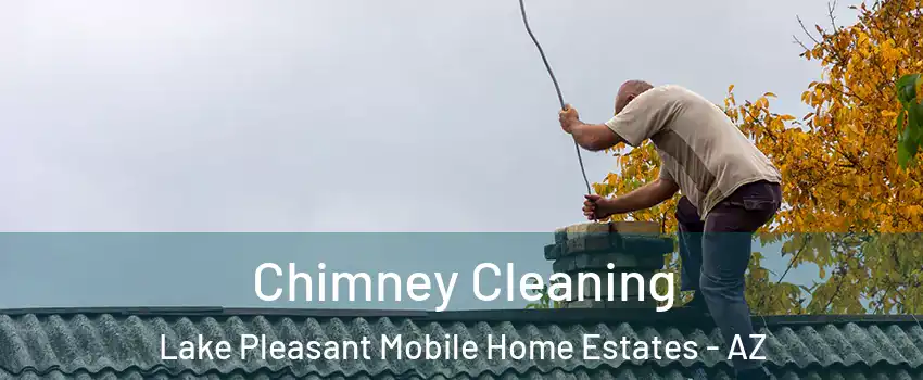 Chimney Cleaning Lake Pleasant Mobile Home Estates - AZ