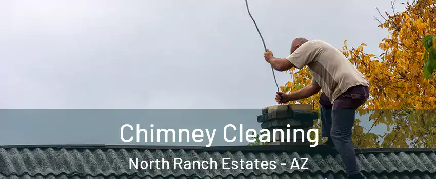 Chimney Cleaning North Ranch Estates - AZ