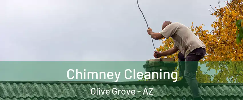 Chimney Cleaning Olive Grove - AZ