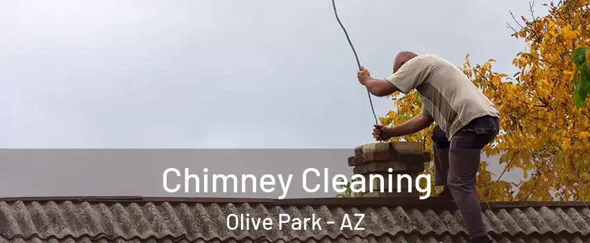 Chimney Cleaning Olive Park - AZ