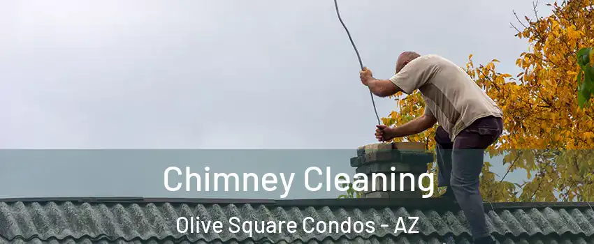 Chimney Cleaning Olive Square Condos - AZ