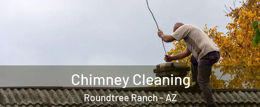 Chimney Cleaning Roundtree Ranch - AZ