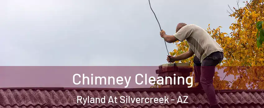 Chimney Cleaning Ryland At Silvercreek - AZ