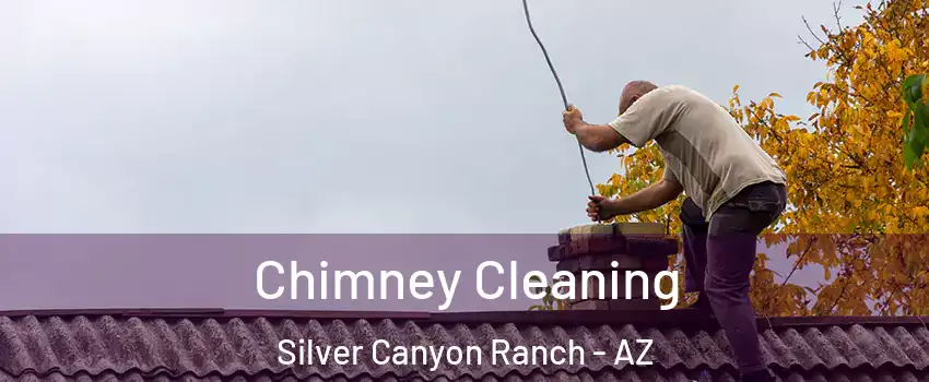 Chimney Cleaning Silver Canyon Ranch - AZ