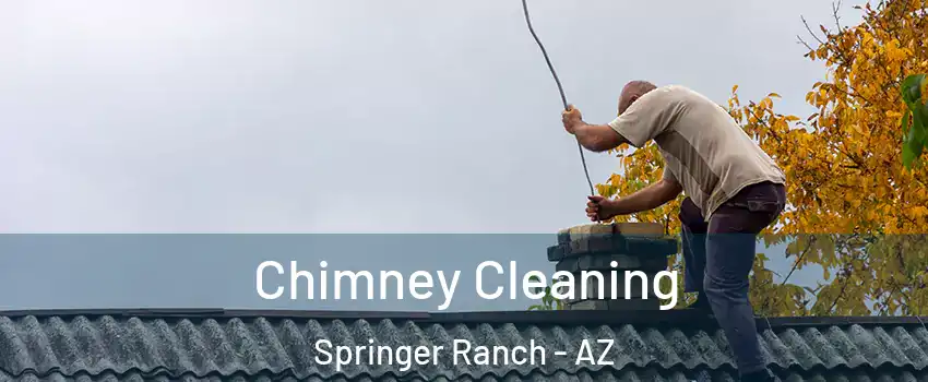 Chimney Cleaning Springer Ranch - AZ