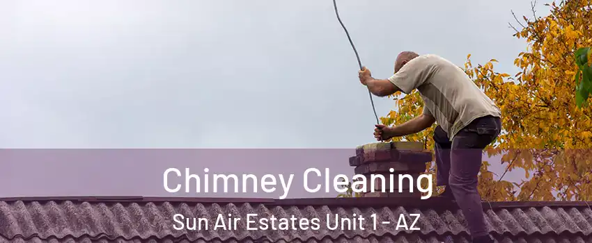 Chimney Cleaning Sun Air Estates Unit 1 - AZ
