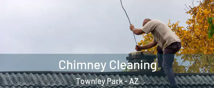 Chimney Cleaning Townley Park - AZ