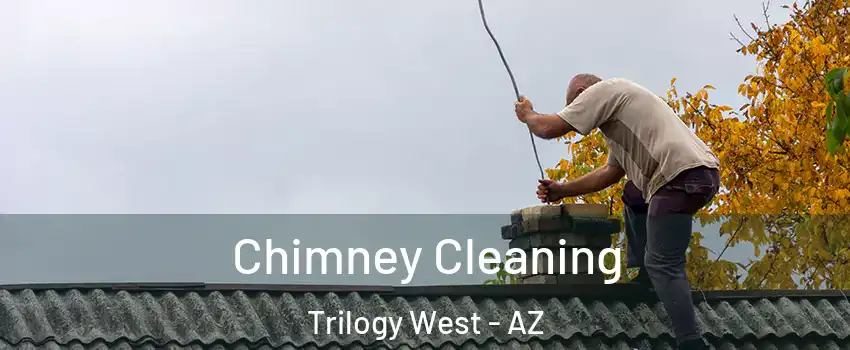 Chimney Cleaning Trilogy West - AZ