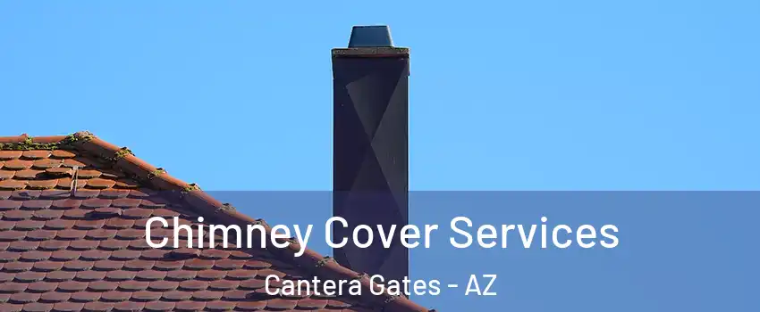Chimney Cover Services Cantera Gates - AZ