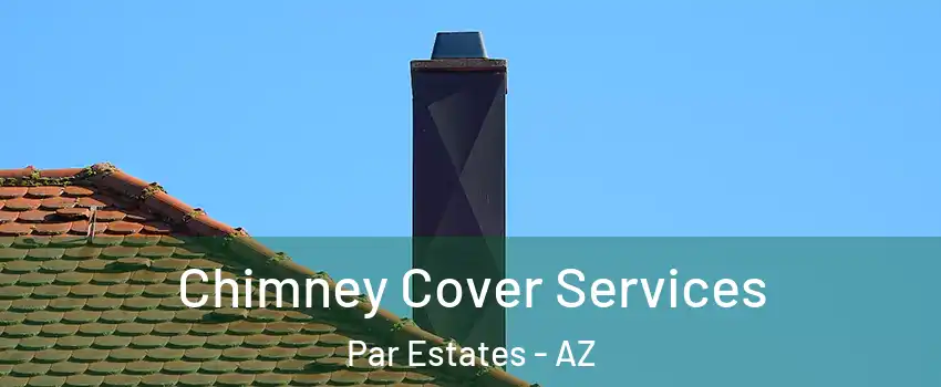 Chimney Cover Services Par Estates - AZ
