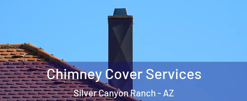 Chimney Cover Services Silver Canyon Ranch - AZ