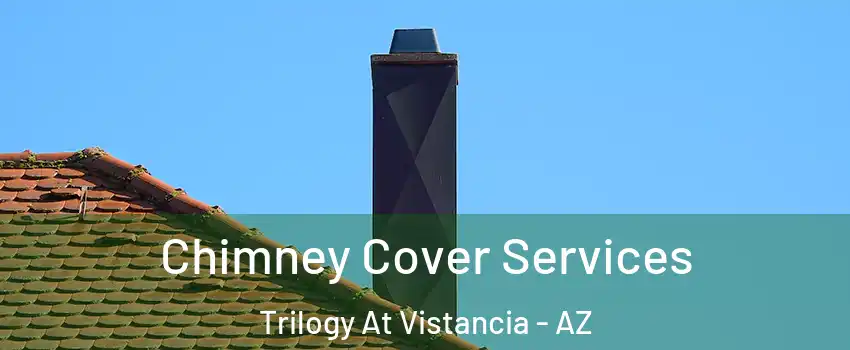 Chimney Cover Services Trilogy At Vistancia - AZ